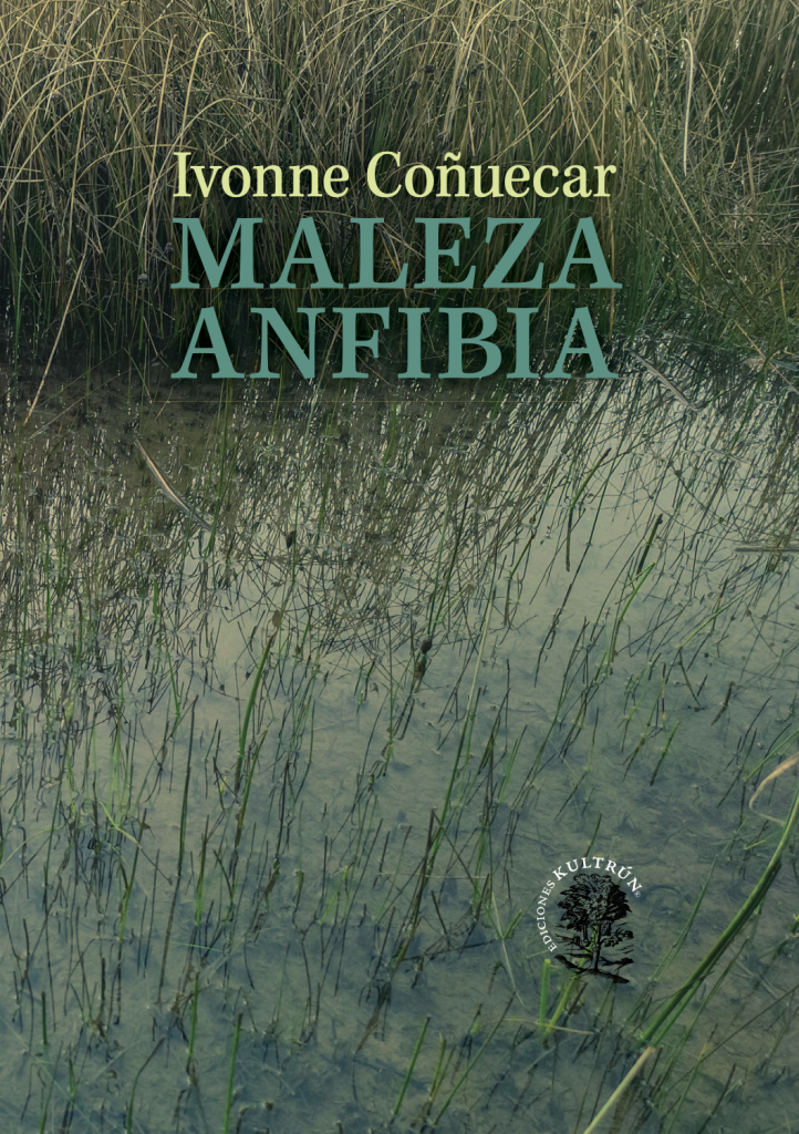 Portada Ricardo Mendoza Rademacher